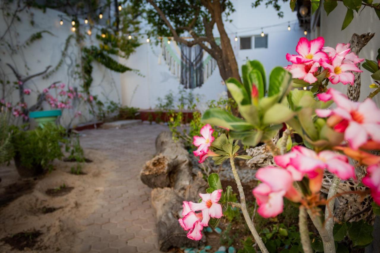 Adventure Inn La Paz Dış mekan fotoğraf